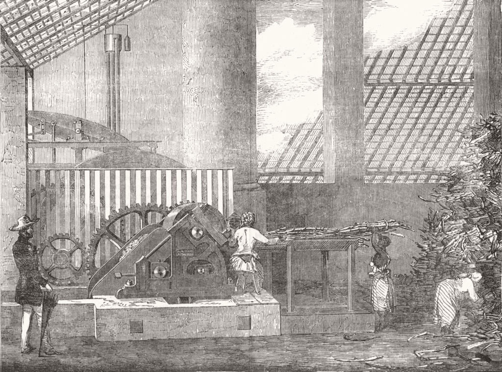 FARMING. Brazilian Sugar-Mill 1854 old antique vintage print picture